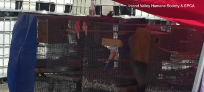 Διέσωσαν 2.000 ζώα που ζούσαν σε άθλιες συνθήκες σε βιομηχανική αποθήκη (βίντεο)